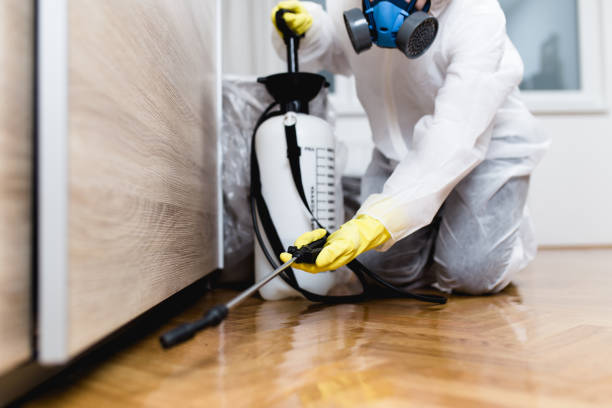 Best Flea Control Services  in Tinton Falls, NJ
