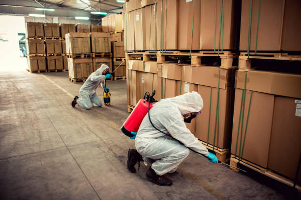 Best Rat Extermination Near Me  in Tinton Falls, NJ
