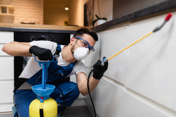 Insect Control in Tinton Falls, NJ