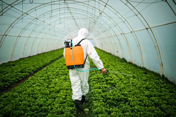 Insect Control in Tinton Falls, NJ