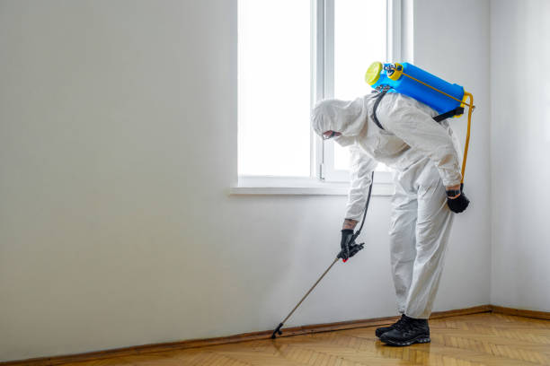 Best Residential Pest Control  in Tinton Falls, NJ