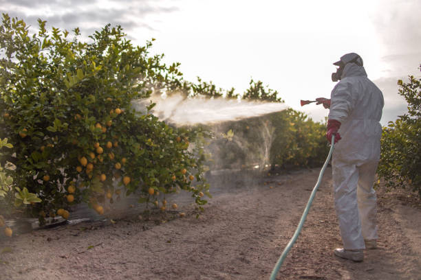 Best Wasp Removal Services  in Tinton Falls, NJ