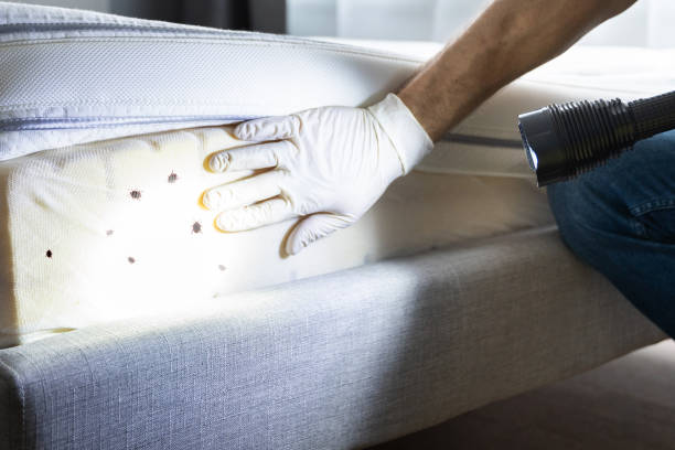 Best Mosquito Control Services  in Tinton Falls, NJ