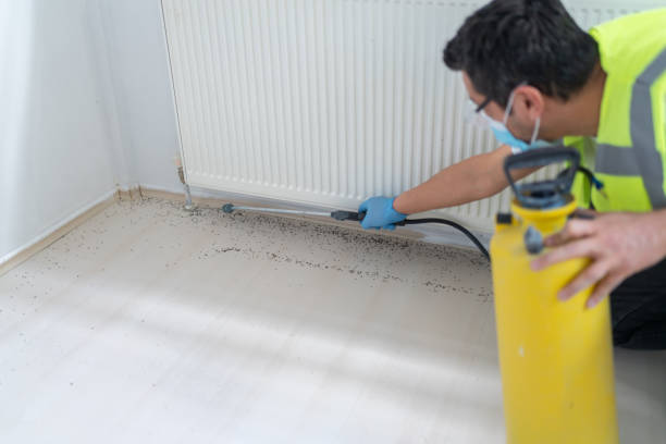 Pest Control for Restaurants in Tinton Falls, NJ