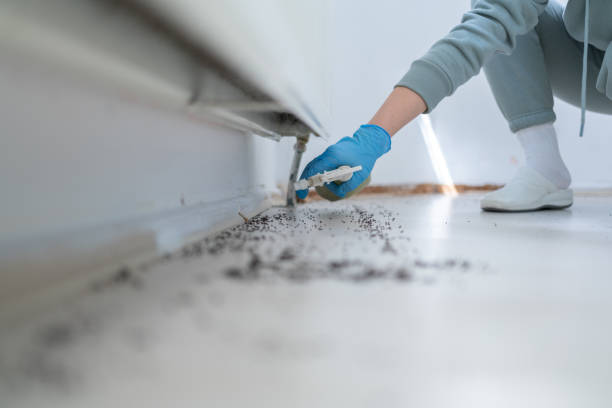 Best Best Pest Control Companies  in Tinton Falls, NJ